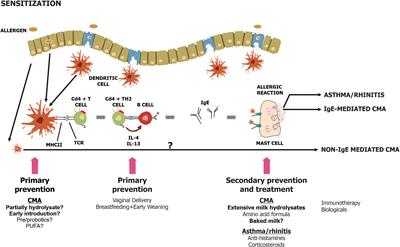 Strategies and Future Opportunities for the Prevention, Diagnosis, and Management of Cow Milk Allergy